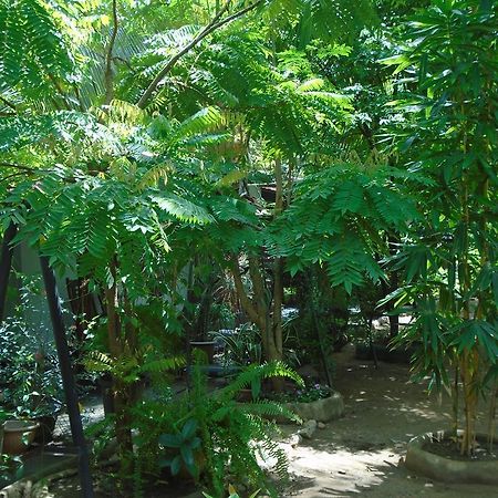 Livinginn Polonnaruwa Zewnętrze zdjęcie