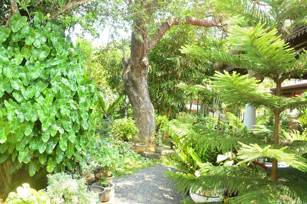 Livinginn Polonnaruwa Zewnętrze zdjęcie