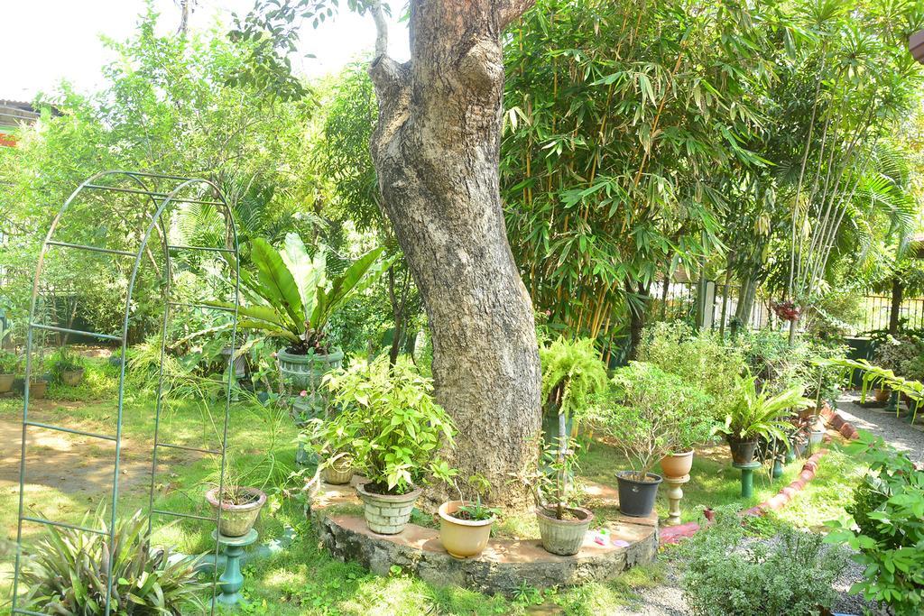 Livinginn Polonnaruwa Zewnętrze zdjęcie